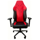 Gaming Chair & Desk